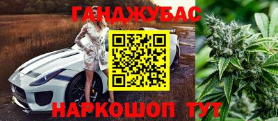 стаф Лесосибирск